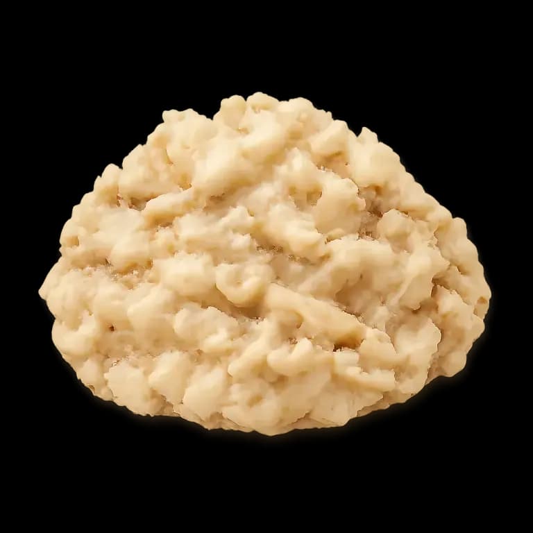 Multigrain oatmeal
