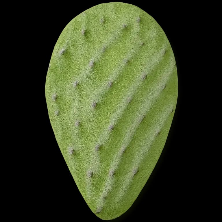 Nopales