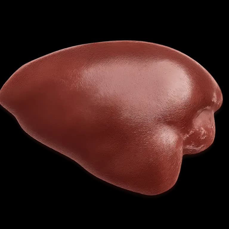 Pork liver