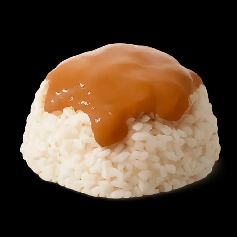 Rice with gravy