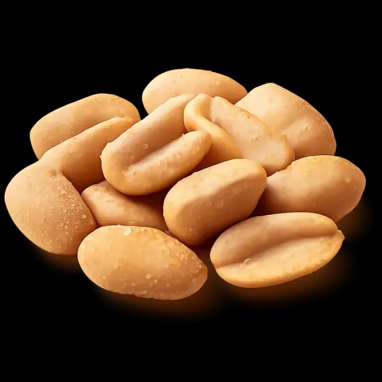Roasted salted peanuts