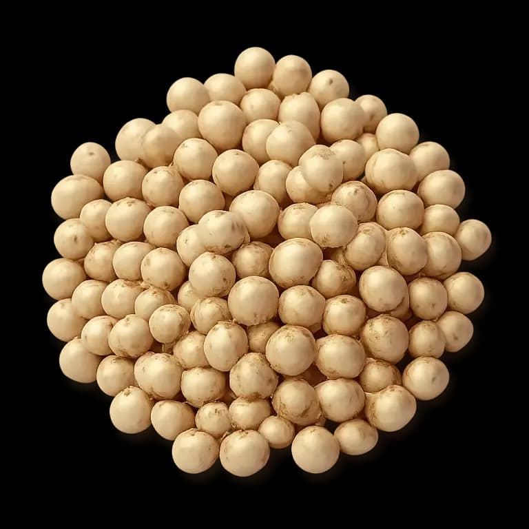 Whole-grain sorghum