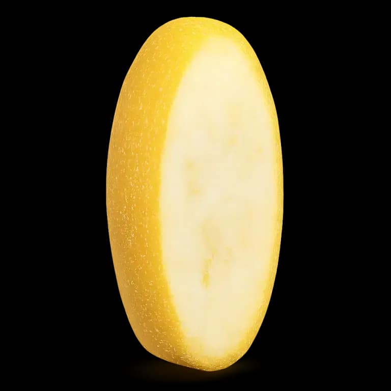 Yellow squash