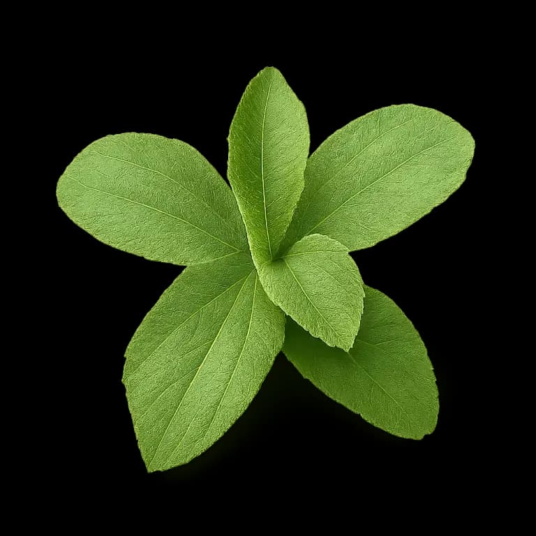 Stevia