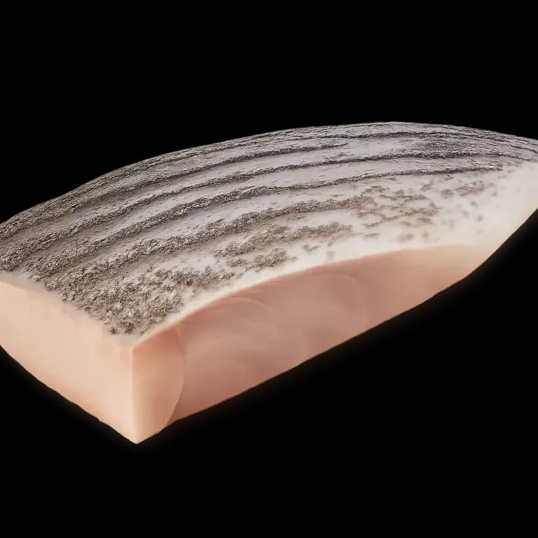 Striped bass