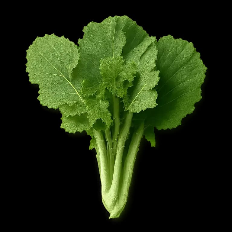 Turnip greens