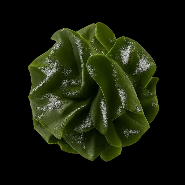 Wakame