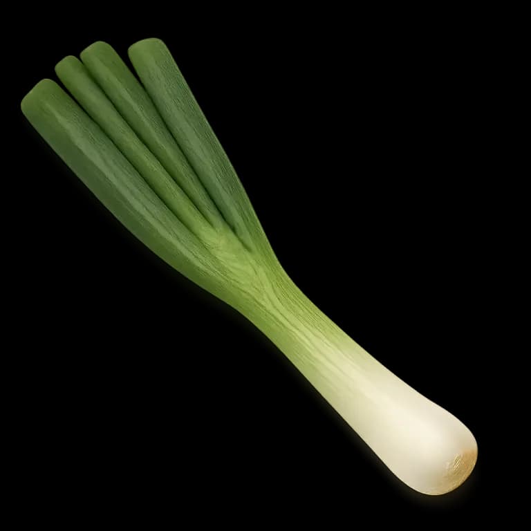 Welsh onions