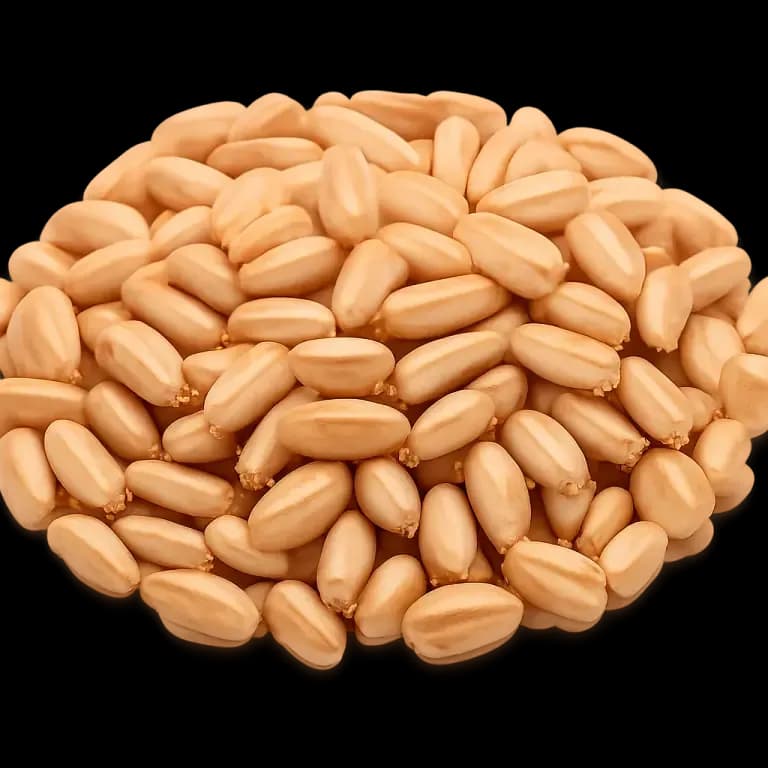 Wheat berries