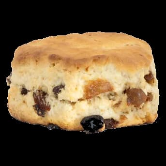 All Butter Sultana Scone (V)