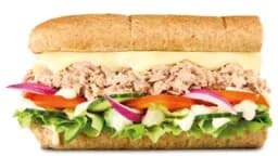 Tuna Mayonaise