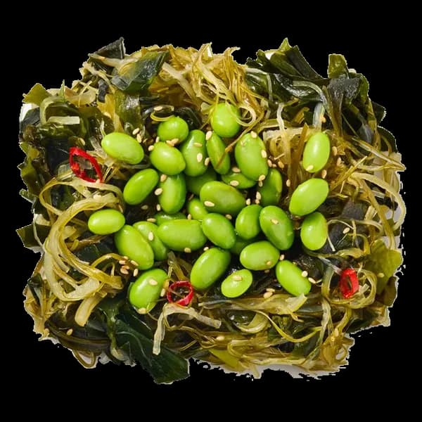 Kaiso seaweed salad
