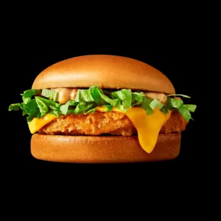 Tasty Chicken Burger