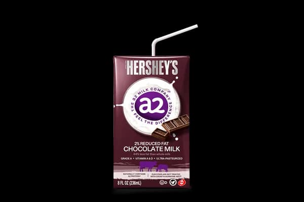 Chocolate Milk (7 fl oz bottle)