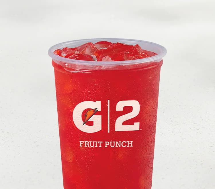 G2 Gatorade Fruit Punch